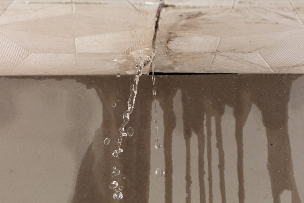 Professional Sewage Cleanup technician working in Ramsey, MN